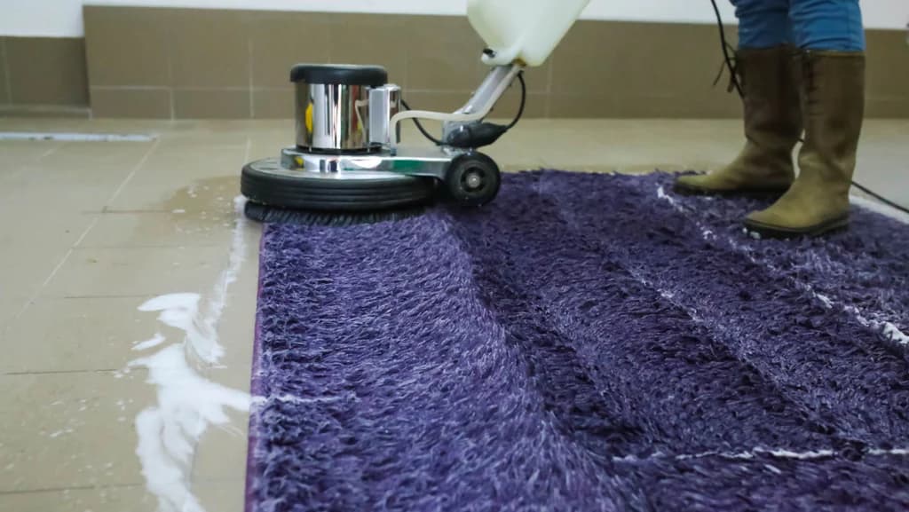 Professional carpet shampoo cleaning service in Delhi β foam-based deep fibre cleaning