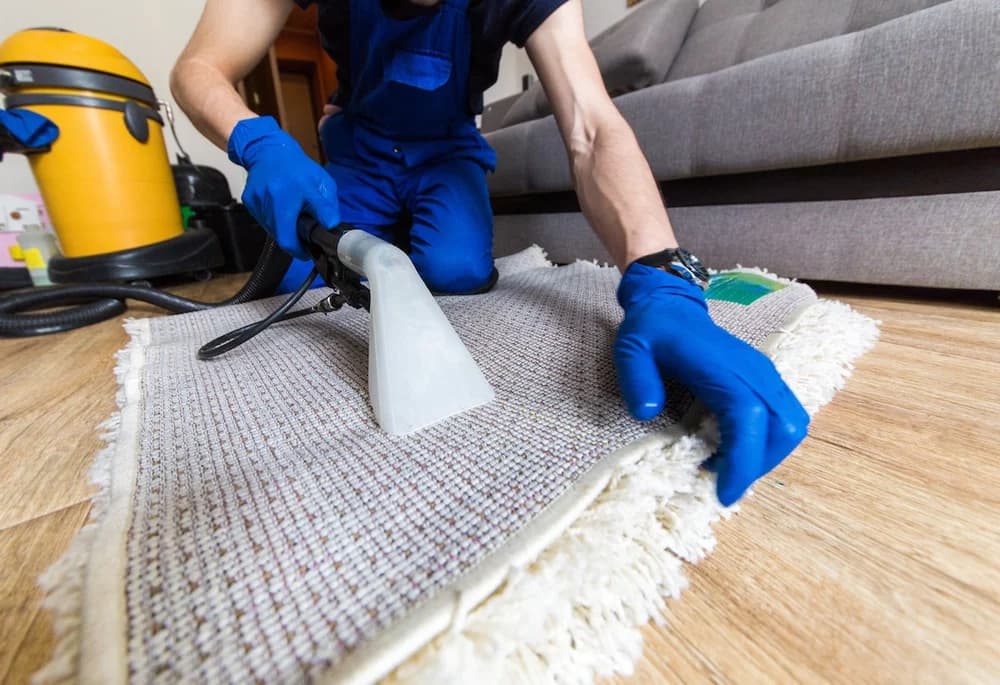 Dry carpet cleaning service in Delhi β low moisture method for sensitive carpet fabrics