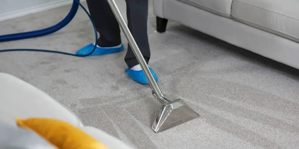 Steam carpet cleaning in Delhi using hot water extraction β removes embedded bacteria and allergens